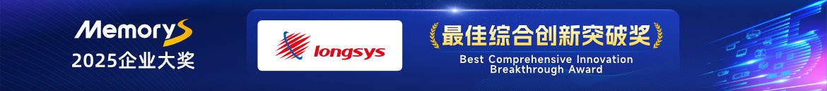 最佳综合创新突破奖：江波龙