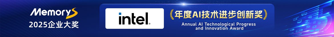 年度AI技术进步创新奖：英特尔