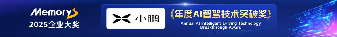 年度AI智驾技术突破奖：小鹏汽车