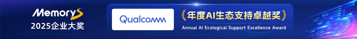 年度AI生态支持卓越奖：高通