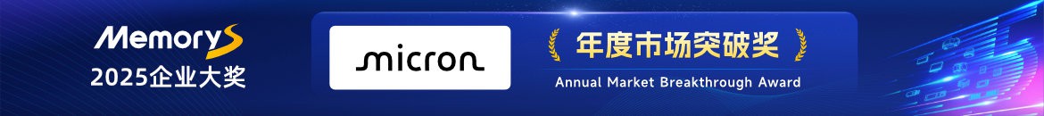 年度市场突破奖：美光