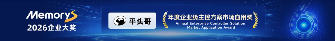 年度企业级主控方案市场应用奖：平头哥半导体