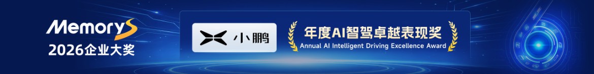 年度AI智驾卓越表现奖：小鹏汽车